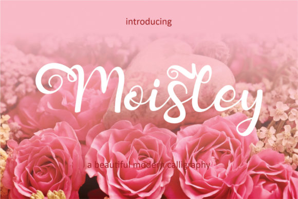 Moisley: A Whimsical Script Font for Editorial Design