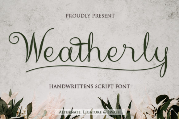 Weatherly Script Font: A Designer’s Branding Story