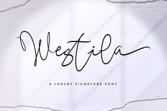 Westila: A Premium Script Font for Web Design